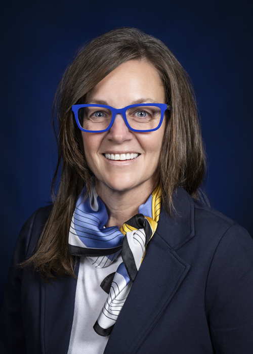 Illinois Representative Katie Stuart official photo.